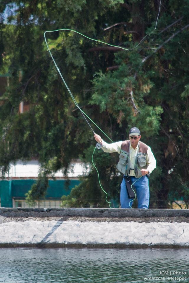Pescadoternera expertos
